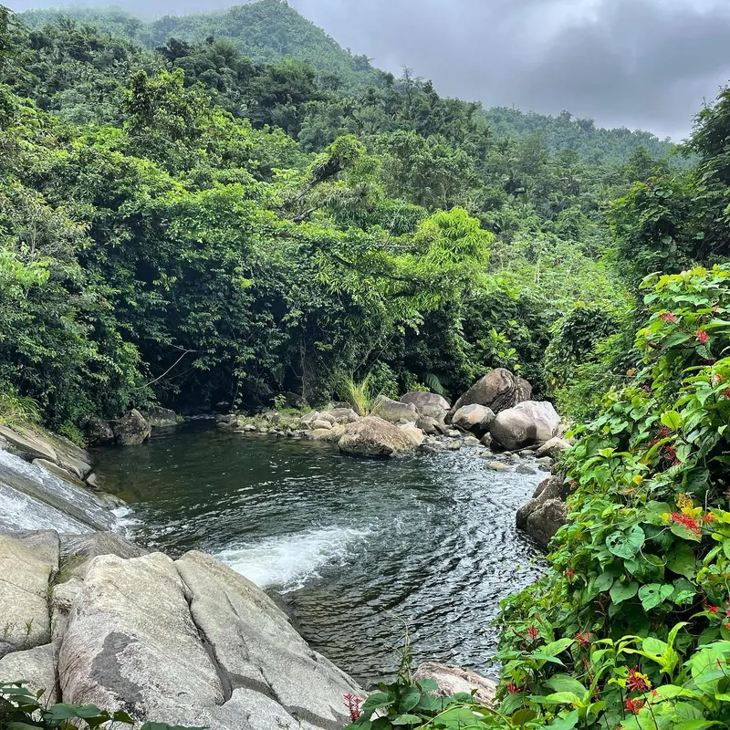 Waterfall in El Yunque Rainforest, Puerto Rico with surrounding rocks and forest