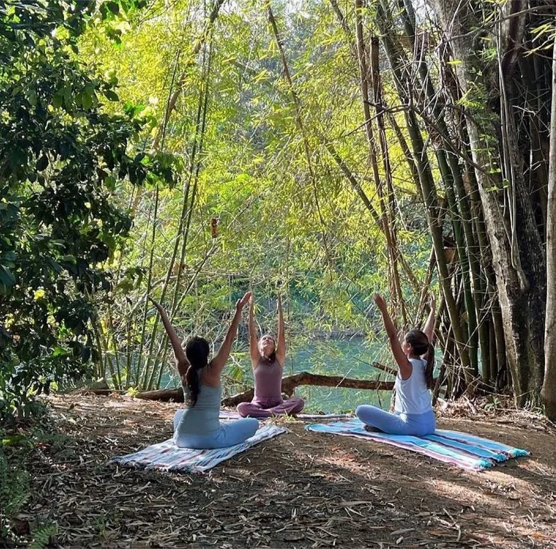 Two participants practicing partner yoga poses outdoors at Dos Aguas Retreat