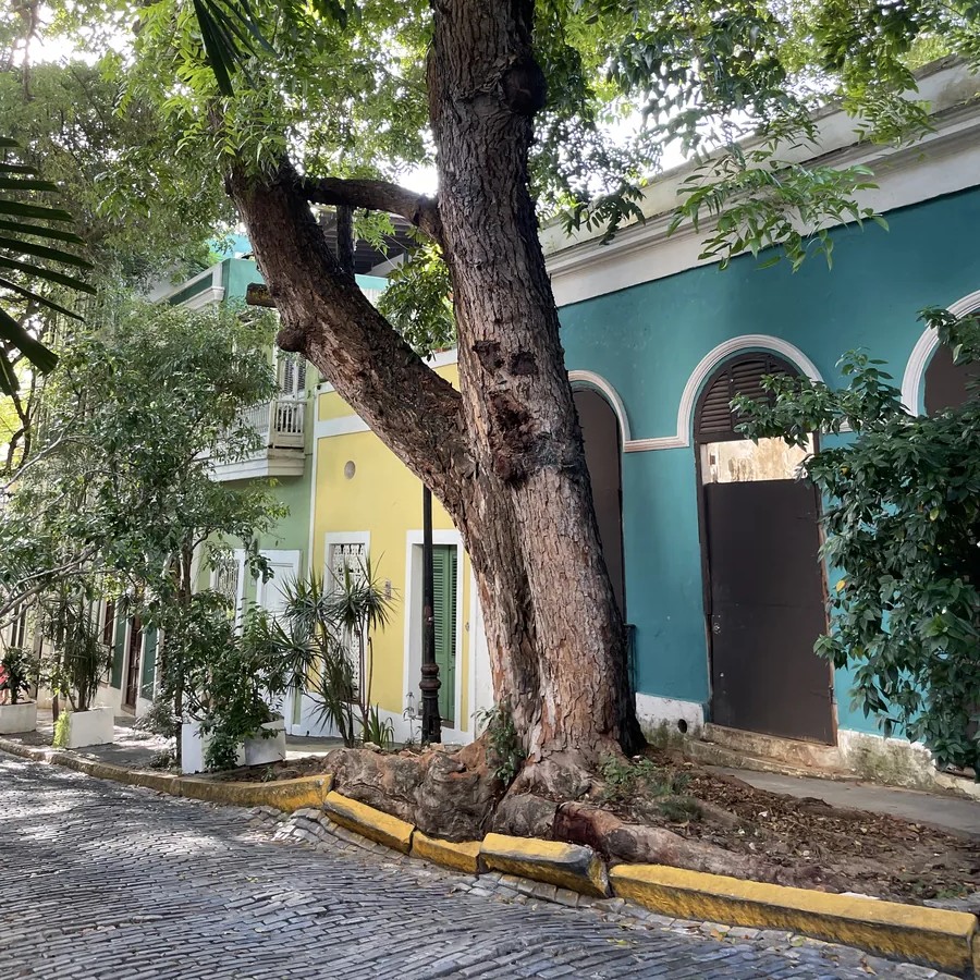 Colorful historic street in Old San Juan, Puerto Rico, featured in Root to Rise Retreat cultural immersion activities